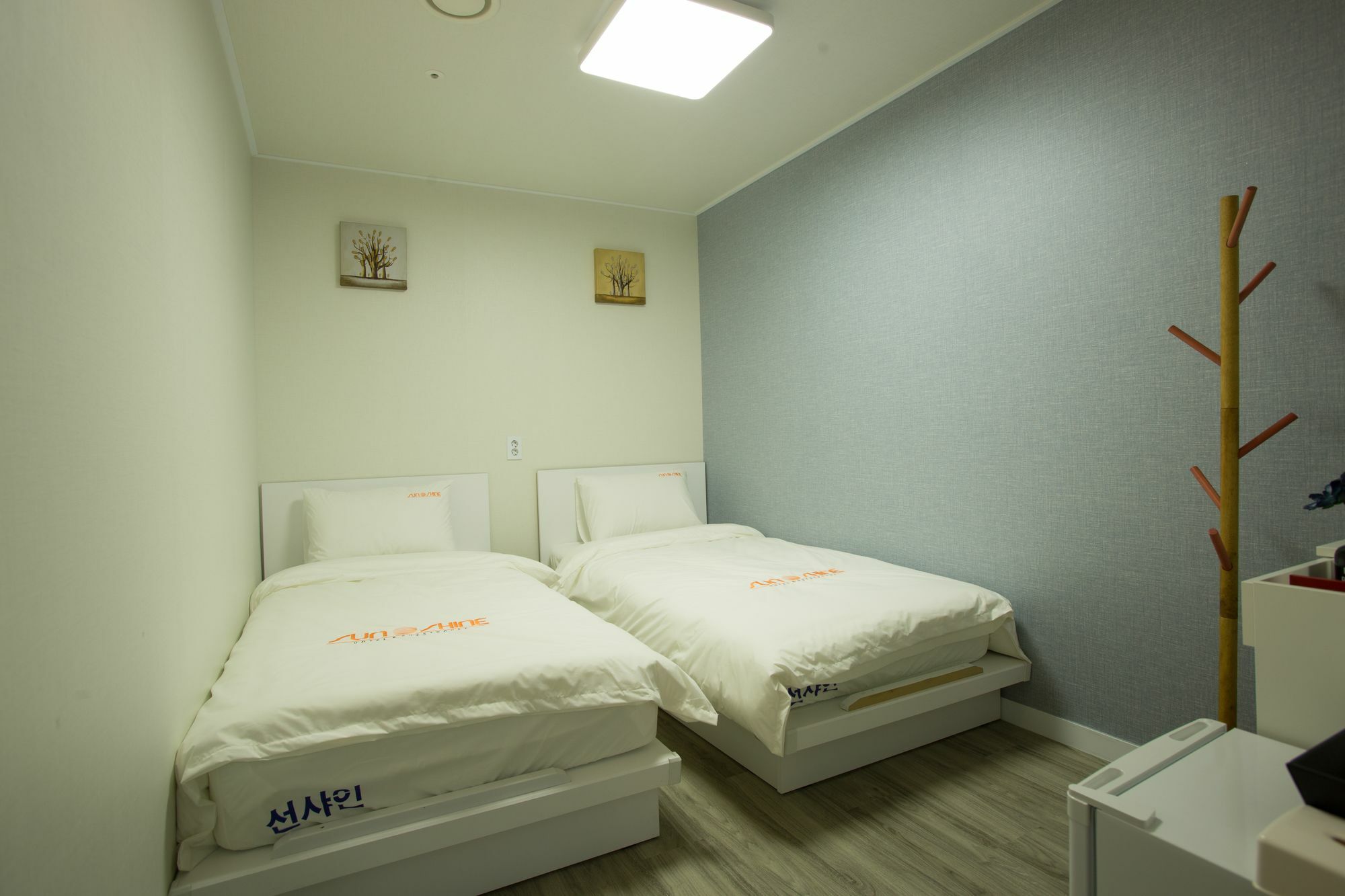 Myeongdong Sunshine Guesthouse Seoul Eksteriør billede